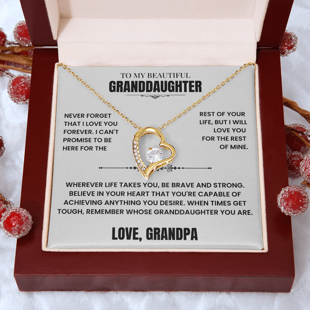 To My Granddaughter Gift From Grandpa, "Never Forget That I Love You"