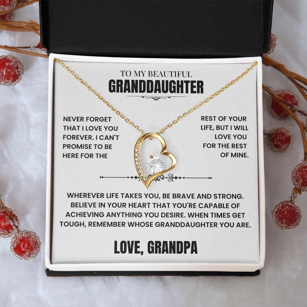 To My Granddaughter Gift From Grandpa, "Never Forget That I Love You"